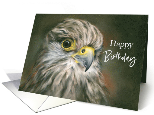 Happy Birthday Kestrel Falcon Bird Pastel Art card (1659480)