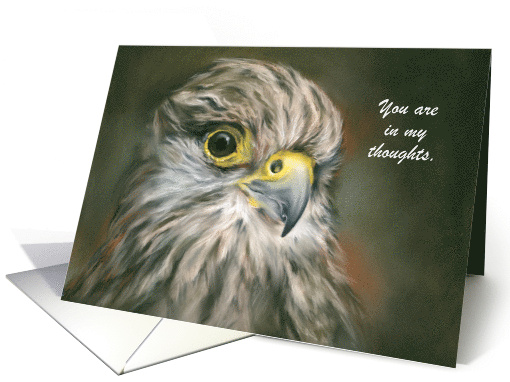 Custom Thinking of You Kestrel Falcon Bird Pastel Art card (1659482)