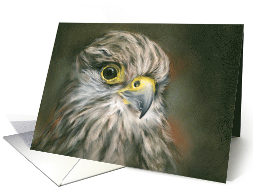 Any Occasion Kestrel Falcon Bird Pastel Art Blank card (1659484)
