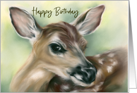 Happy Birthday Fawn Young Deer Pastel Wildlife Art card