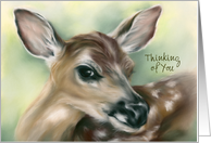 Custom Thinking of You Fawn Young Deer Pastel Wildlife Art card