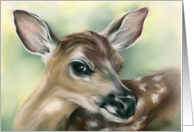 Any Occasion Fawn Young Deer Pastel Wildlife Art card