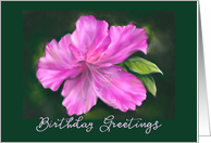 Birthday Greetings Vivid Pink Azalea Flower Pastel Art card