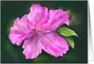 Any Occasion Vivid Pink Azalea Flower Pastel Art Blank card