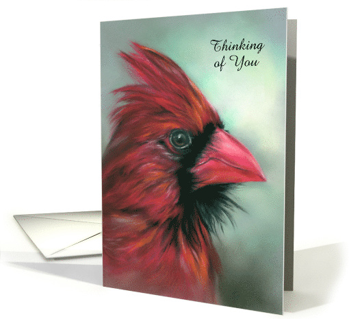 Custom Thinking of You Red Male Cardinal Songbird Pastel Art card