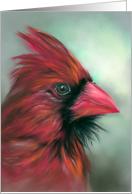 Any Occasion Red Male Cardinal Songbird Portrait Pastel Art Blank card