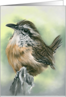 Any Occasion Perky Carolina Wren Bird Pastel Art Blank card