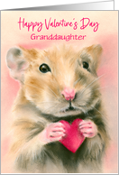 Valentine Personalized for Relative Granddaughter Hamster with Heart card
