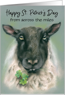 Custom St Patricks Day Across the Miles Whimsical Sheep with Shamrocks card