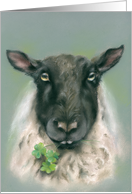 Any Occasion Whimsical Sheep with Shamrocks Pastel Art Blank card