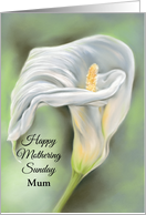 Custom Mothering Sunday Mum Graceful Calla Flower White Lily Pastel card