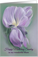 Personalized Mothering Sunday for Mum Purple Wisteria Flowers Pastel card