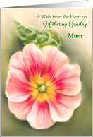 Custom Mothering Sunday for Mum Pink and Red Primrose with Leaf card