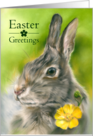 Easter Greetings Bunny Rabbit Yellow Buttercup Flower Pastel card