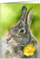 Any Occasion Bunny Rabbit Yellow Buttercup Flower Pastel Art Blank card