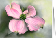 Any Occasion Pink Dogwood Spring Floral Pastel Art Blank card