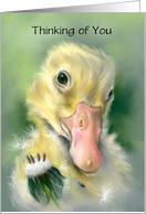 Personalized Thinking of You Yellow Gosling Chick Dandelion Pastel Art card