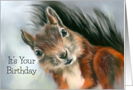 Birthday Cute Red Squirrel Pastel Animal Artwork card