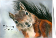 Custom Thinking of You Cute Red Squirrel Pastel Animal Artwork card