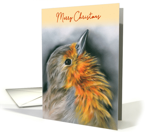 Merry Christmas European Robin Redbreast Bird Pastel Art card