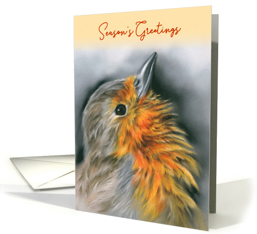 Seasons Greetings European Robin Redbreast Bird Pastel Art card