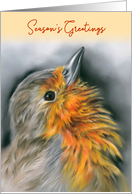 Seasons Greetings European Robin Redbreast Bird Pastel Art card