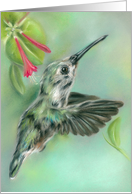 Any Occasion Hummingbird with Honeysuckle Pastel Art Blank card