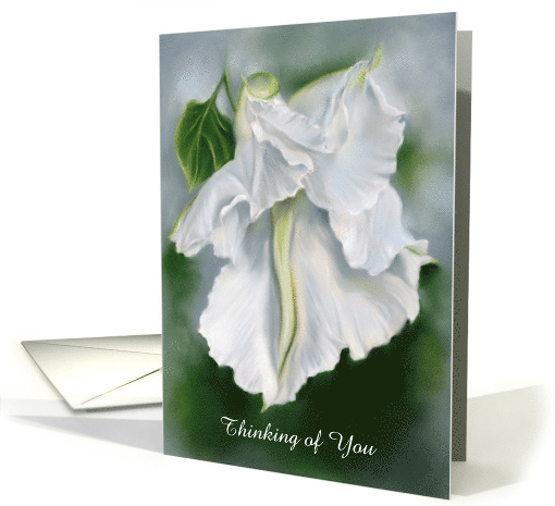 Custom Thinking of You Moonflower White Blossom Floral Pastel Art card