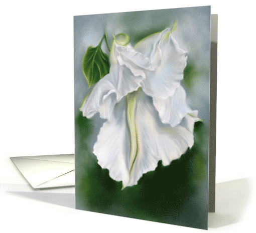 Any Occasion Moonflower White Blossom Floral Pastel Art Blank card