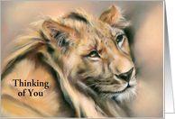 Custom Thinking of You Regal Male Lion Portrait Pastel Art card