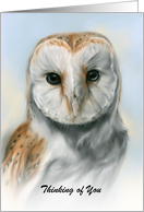 Custom Thinking of You Barn Owl Pastel Bird Portrait Artwork card