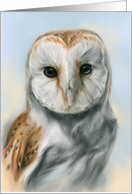 Any Occasion Barn Owl Pastel Bird Portrait Artwork Blank card
