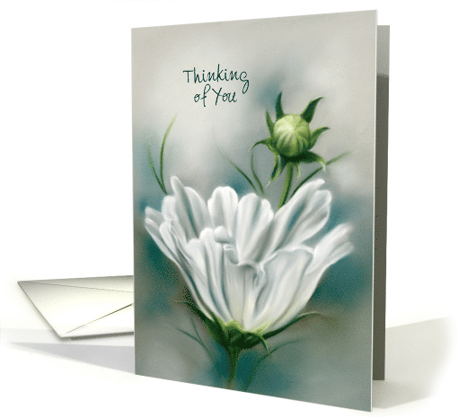 Custom Thinking of You White Cosmos Flower Pastel Art card (1683066)