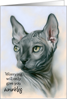 Encouragement No Worrying Sphynx Cat Gray Feline Art card