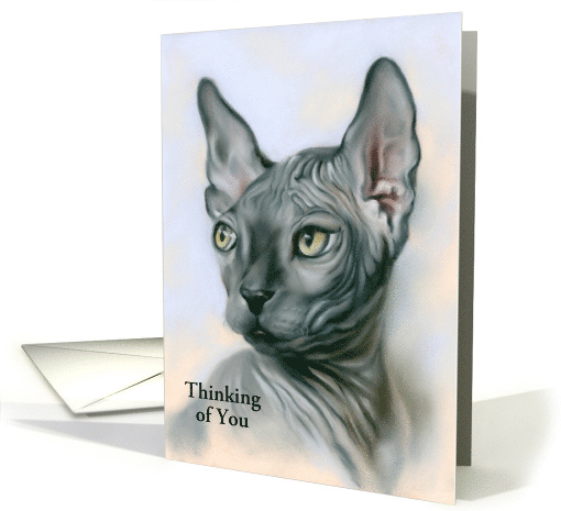 Custom Thinking of You Sphynx Cat Gray Feline Portrait Art card
