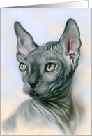 Any Occasion Sphynx Cat Gray Feline Portrait Art Blank card