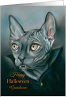 Custom Relative Halloween for Grandson Vampire Sphynx Cat Portrait card