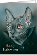 Happy Halloween Vampire Sphynx Cat Portrait Art card