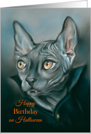 Happy Halloween Birthday Vampire Sphynx Cat Portrait Art card
