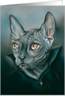 Any Occasion Vampire Sphynx Cat Portrait Art Blank card