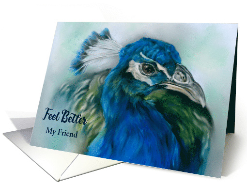 Custom Feel Better Friend Pretty Peacock Pastel Bird Art card