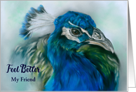 Custom Feel Better Friend Pretty Peacock Pastel Bird Art card