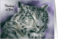 Custom Thinking of You Snow Leopard Wildlife Pastel Animal Art card