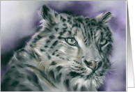 Any Occasion Snow Leopard Wildlife Pastel Animal Art Blank card