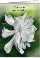 Custom Thinking of You Gardenia White Blossom Floral Pastel Art card