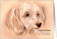 Custom Congratulations New Pet Maltipoo Small Dog Pastel Art card