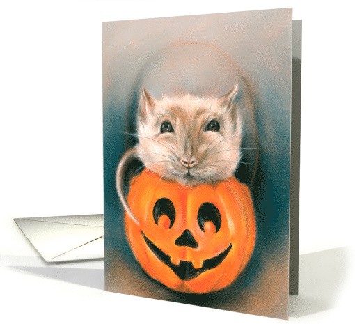 Any Occasion Cute Rat in Halloween Pumpkin Bucket Animal... (1688484)