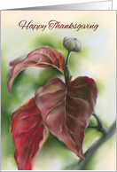 Happy Thanksgiving Autumn Red Dogwood Leaves Pastel Art card