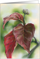 Any Occasion Autumn Red Dogwood Leaves Pastel Art Blank card