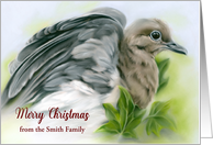 Merry Christmas from Personalized Name Mourning Dove with Ivy S card